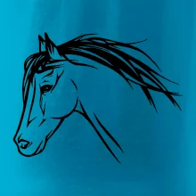 Kôň - hlava celá