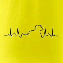 Stafordšírsky bulteriér ‎ EKG