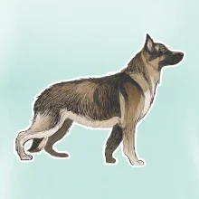 Nemecký ovčiak - hnedý kreslený