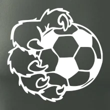 Medvedia laba futbal Medvedia laba futbal