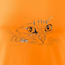 Mačka tvár kresba Mačka tvár kresba