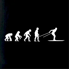 Evolúcia behu - bežky