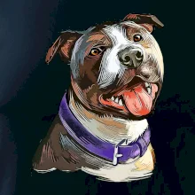 Americký stafordšírsky teriér kreslený