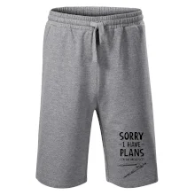 Sorry I have plans - architect