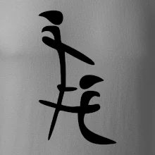 Čínský znak Čínský znak