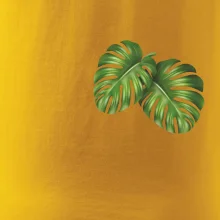 Monstera listy na prsu