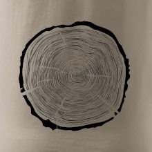 Letokruhy 65 bez veku