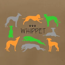 Whippet farebný