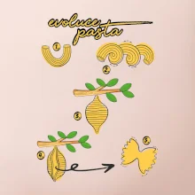 Evoluce pasta
