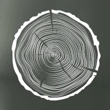 Letokruhy 50 bez veku