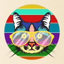 Mačka pri farebnom západe