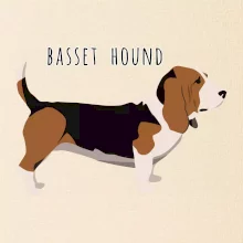 Basset hound pes s nápisom