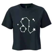 Súhvezdie - Leo - Lev