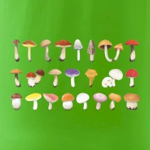 Huby farebné Huby farebné