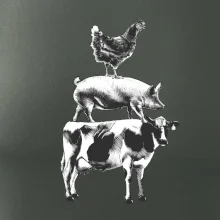 Sliepky prasa krava Sliepky prasa krava