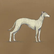 Vintage Whippet