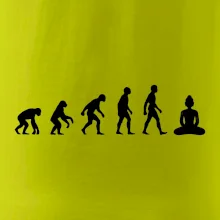 Evoluce budha