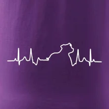 Stafordšírsky bulteriér ‎ EKG