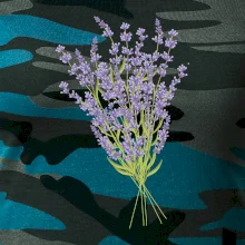 Levanduľa kreslená