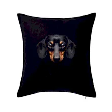 Jazvečík zblízka čierna fotka