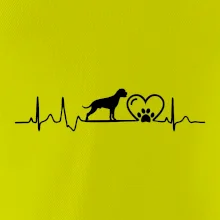 Nemecký boxer EKG Nemecký boxer EKG