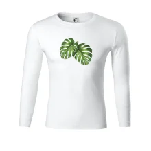 Monstera - dva listy Monstera - dva listy