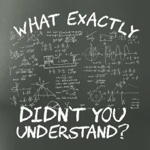 What exactly didn't you understand - physics