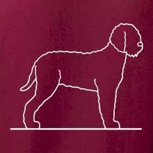 Lagotto romagnolo stojaci