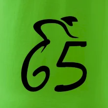 Cyklista oslavuje šesťdesiatpäťku (65)