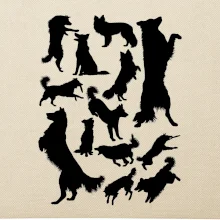 Border kólia siluety