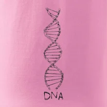 Cyklistovo DNA
