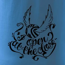 Harry - Zlatá strela