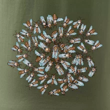 Včelia rodinka kruh (Pecka Design)