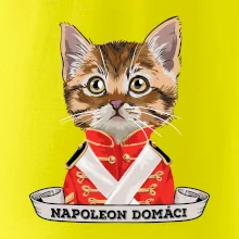 Napoleon domáci mačka
