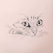 Mačka tvár kresba
