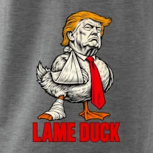 Donald Trump lame duck rytina