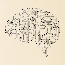 Tlačený spoj mozog