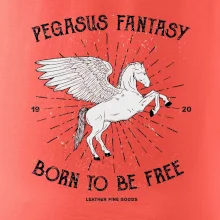 Pegasus fantasy