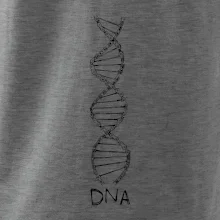 Cyklistovo DNA