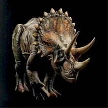 Triceratops z boku čierna fotka Triceratops z boku čierna fotka