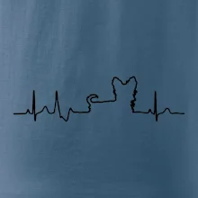 Yorkshirský teriér EKG