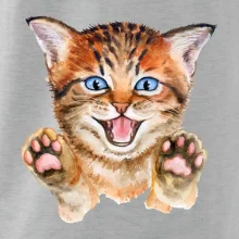 Mačka baf Mačka baf