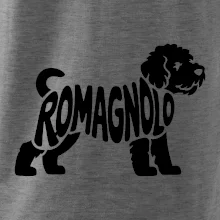 Romagnolo nápis v tele Romagnolo nápis v tele