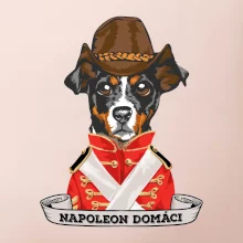 Napoleon domáci kríženec
