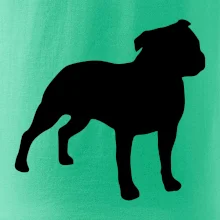 Americký stafordšírsky teriér Na prsníku