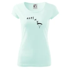 Evolúcia parašutista zoskok Evolúcia parašutista zoskok