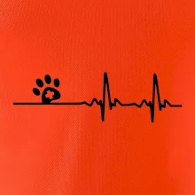 Veterinár EKG