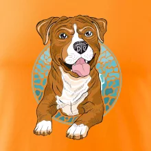 Americký staford kreslený v koliesku (Pecka design)