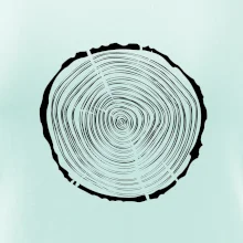 Letokruhy 30 bez veku Letokruhy 30 bez veku