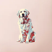 Zlatý retriever vintage